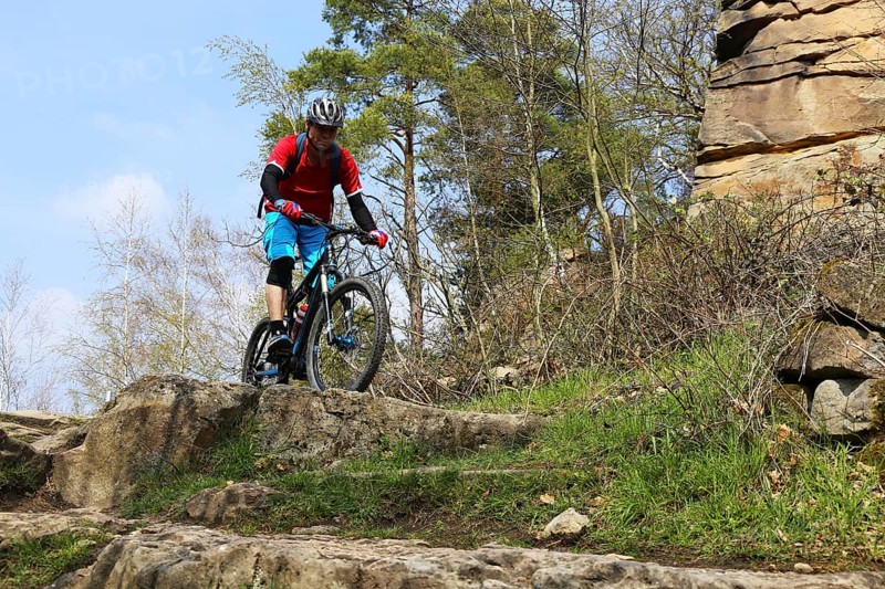 Mountain biker in difficult terrain in the Palatinate Forest near Wolfsburg