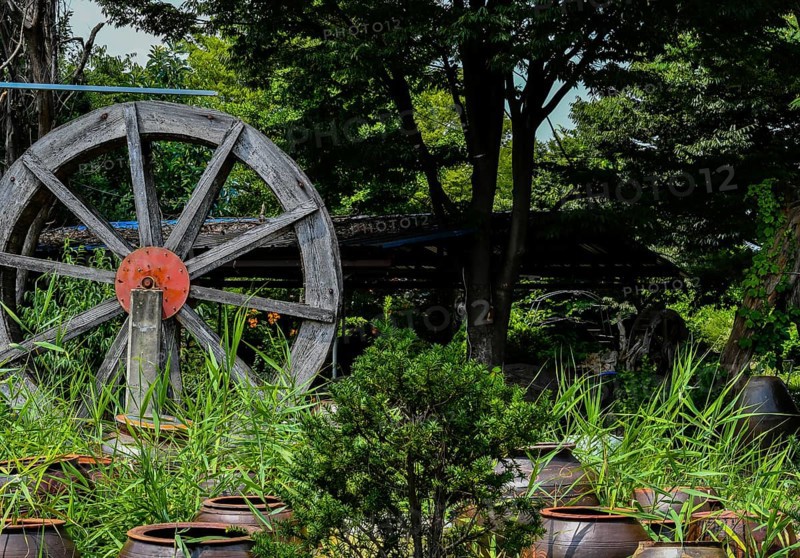 Wooden waterwheel in beautiful garden behind rows of fermentation jars in South Korea