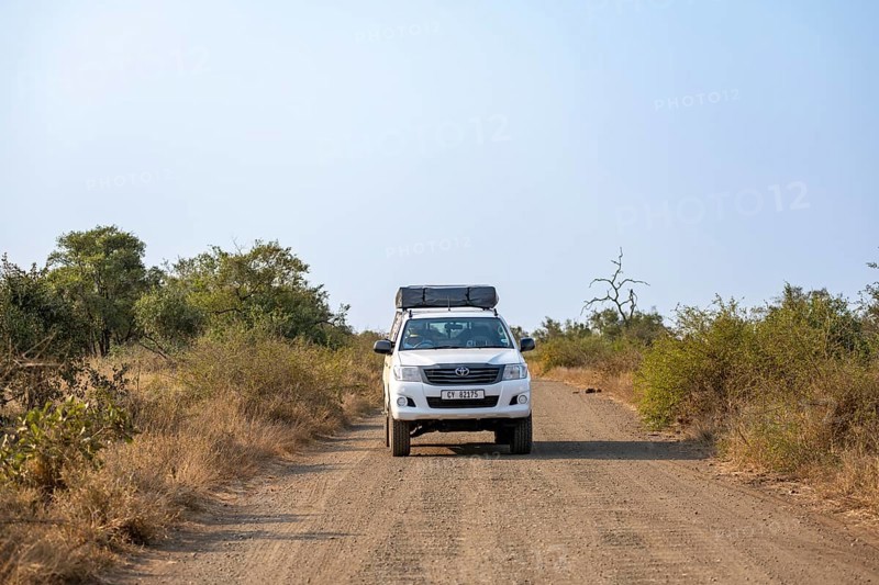 Toyota Hilux off-road vehicle with roof tent on a dirt road, African savannah, Kruger National Park, South Africa, Africa
