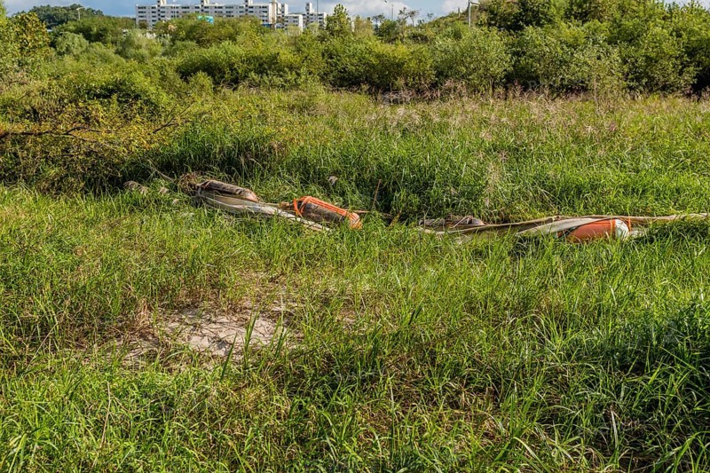 Debris laying in tall grass after flooding caused by monsoon rains with apartment buildings in background in South Korea