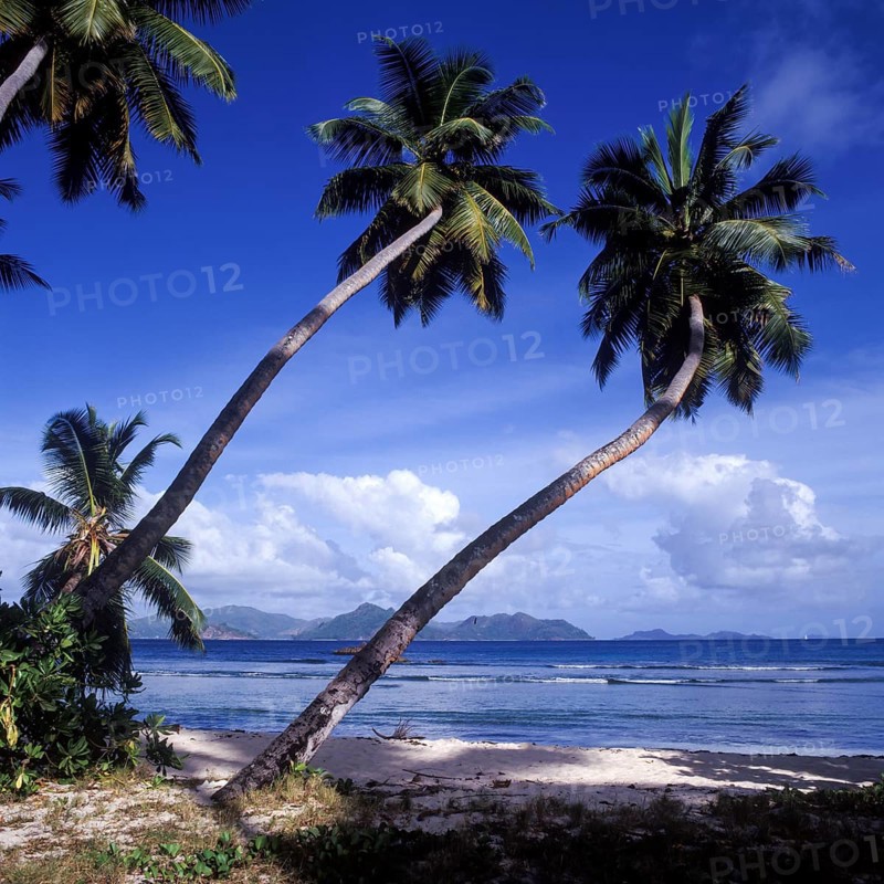 Anse Servere beach, La Digue, Seychelles, Africa