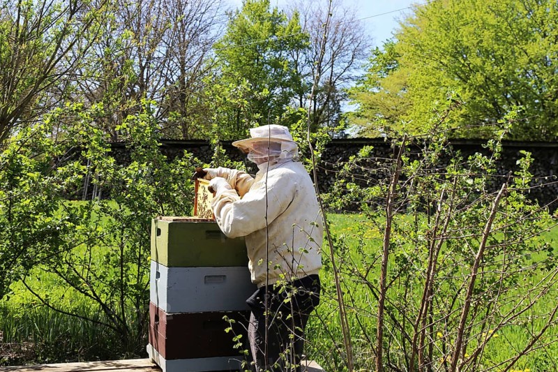 Beekeeper works on his hive