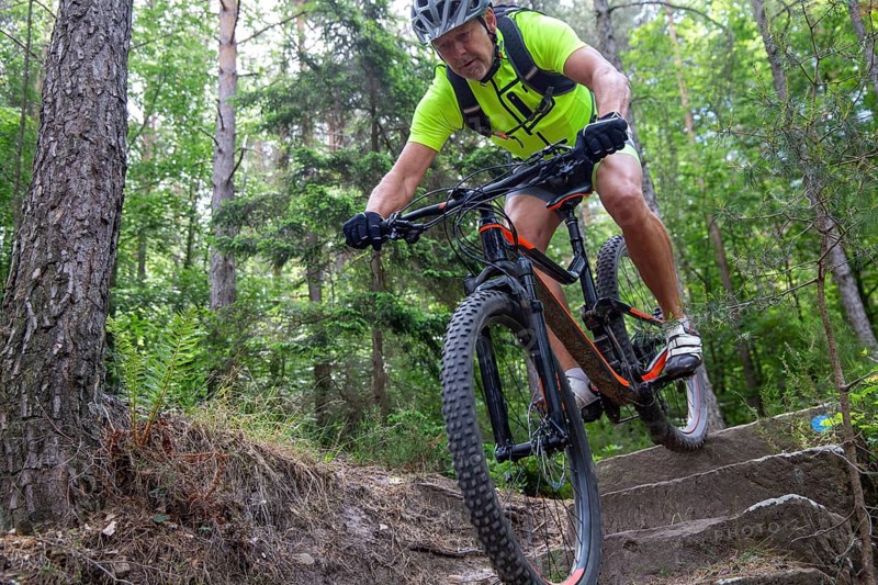 Mountain biker riding steps on a single trail near Weinbiet in the Palatinate Forest, Germany, Europe