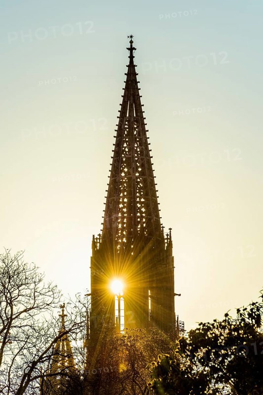 Tower of Freiburg Minster, sunset, Freiburg im Breisgau, Black Forest, Baden-Wuerttemberg, Germany, Europe