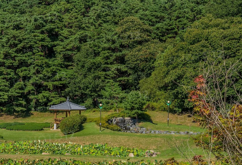 Looking down on oriental gazebo with ceramic tile roof in beautiful woodland park in South Korea