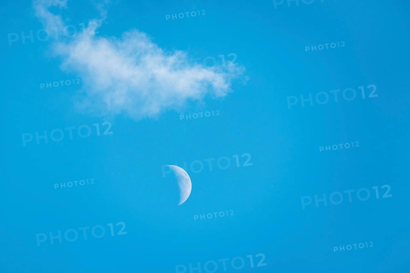 The crescent of the waxing moon in the second quarter shines during the day in a clear blue sky with a small white cloud, fairytale-like, mystical, Lower Saxony, Germany, Europe
