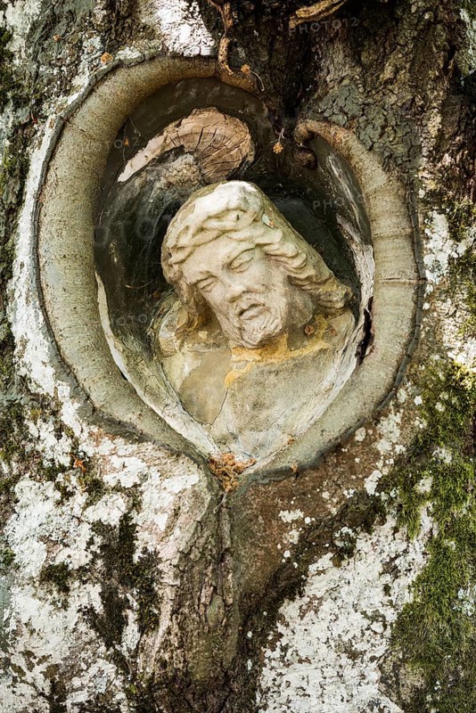 Christ figure in a tree, Balzer Herrgott, near Guetenbach, Black Forest, Baden-Wuerttemberg, Germany, Europe