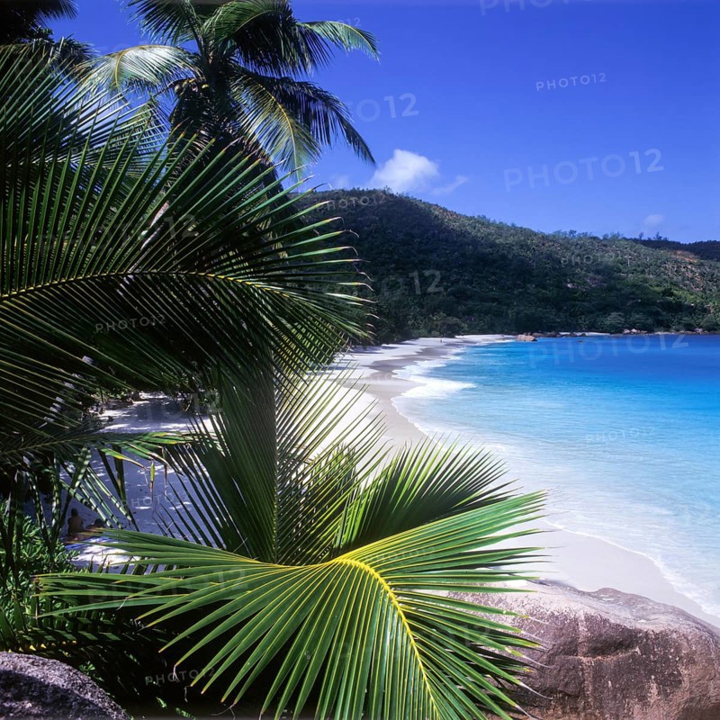 Seychelles, Praslin, Anse Lazio beach, Africa