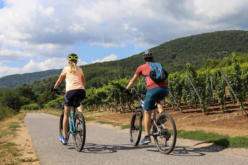 Symbolic image: Young couple on a bike tour in the vineyards, here in the Palatinate near Neustadt an der Weinstrasse