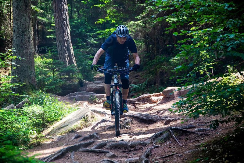 Mountain biker rides a rooted single trail in Dahner Felsenland
