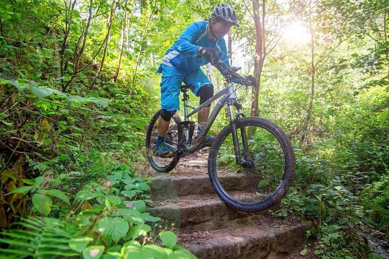 Mountain biker riding steps on a single trail in the Palatinate Forest, Germany, Europe