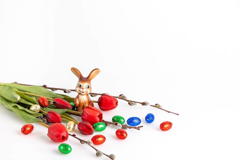 Colourful Easter eggs, a bunny, palm kittens and red tulips on a white background
