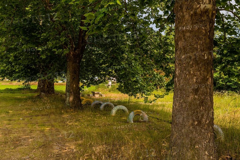 Row of painted tires planted in ground under shade trees in field of tall grass in South Korea