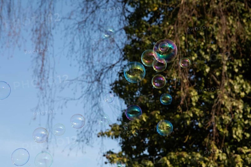 Soap bubbles of several coloured films of soapy water next to each other in front of a blue sky and trees
