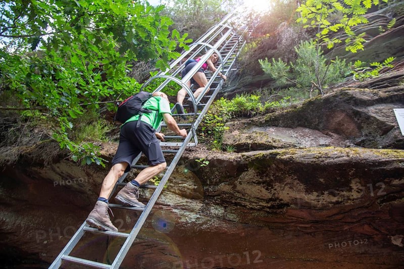 Hikers on the ladder to the Huehnerstein . The Huehnerstein is a sandstone rock in the Palatinate Forest and part of the Rimbachsteig trail