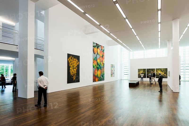 Interior view, Museum Frieder Burda, artworks by Karin Kneffel, architect Richard Meier, Baden-Baden, Black Forest, Baden-Wuerttemberg, Germany, Europe