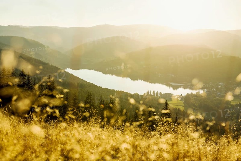 View from Hochfirst to Titisee and Feldberg, sunset, near Neustadt, Black Forest, Baden-Wuerttemberg, Germany, Europe