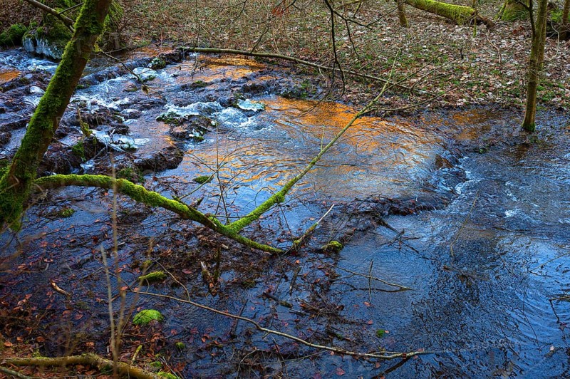 Stream with icing, Egloffstein, Upper Franconia, Bavaria, Germany, Europe