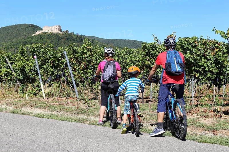 Cycling trip with the family through the vineyards of the Palatinate between Neustadt an der Weinstrasse and Maikammer. The Palatinate Forest and Hambach Castle can be seen in the background