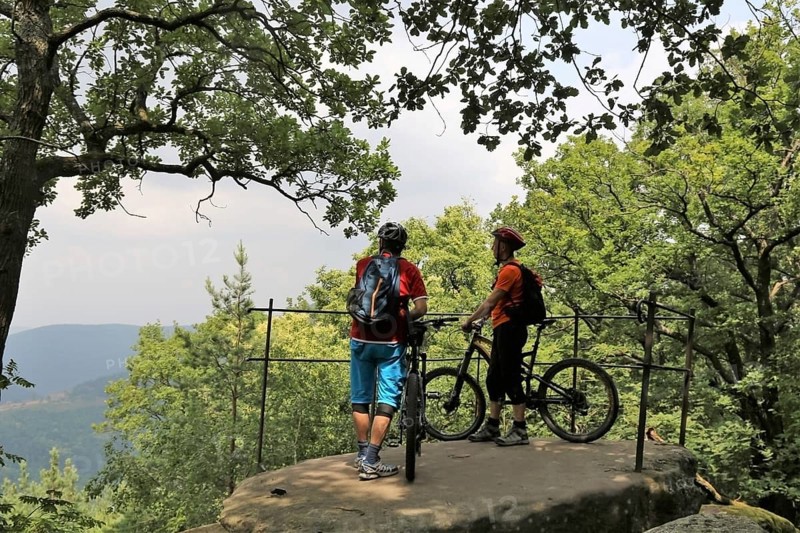 Mountain bikers enjoy the view in the Palatinate Forest above Neustadt an der Weinstrasse