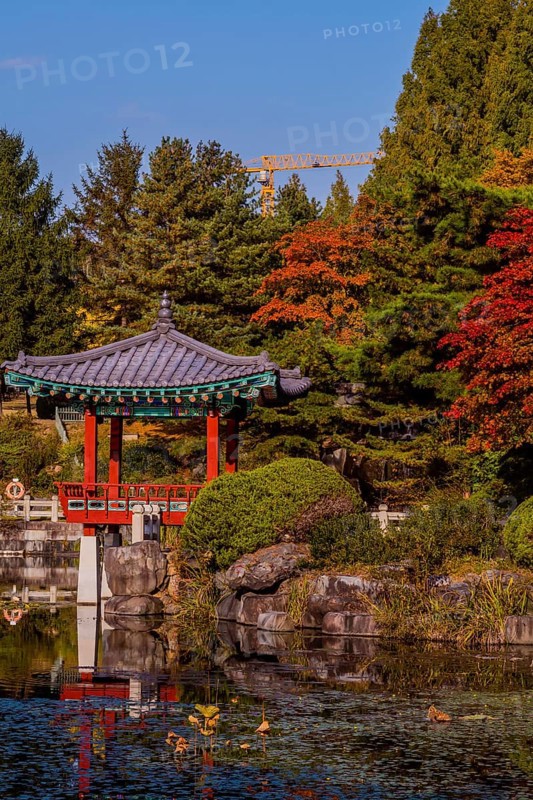 Oriental gazebo with terracotta tile roof at edge of man made pond and yellow construction crane against blue sky in South Korea