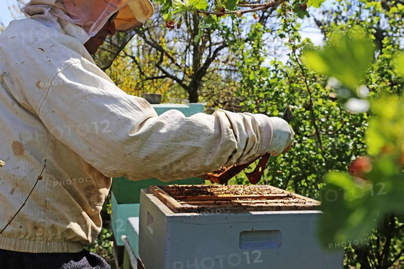 Beekeeper works on his hive