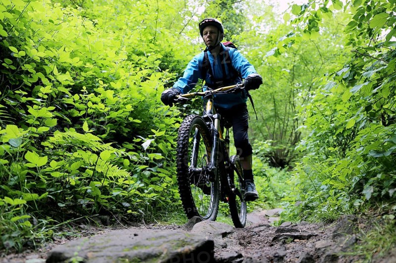 Mountain bikers on a difficult trail in the Palatinate Forest
