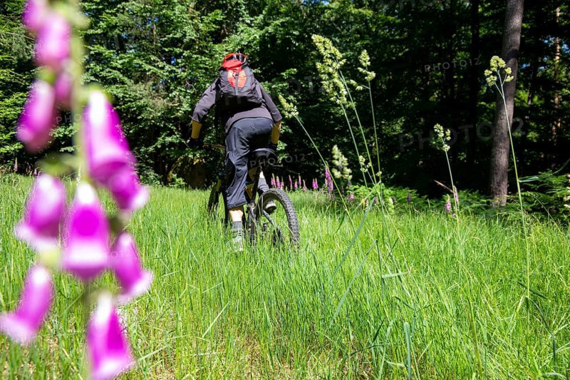 Mountain bikers on tour in the Pfaelzerwald mountain bike park near Dahn