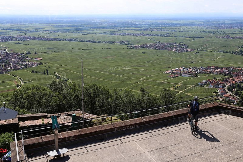 View of the Rhine plain from the Rietburg above Rhodt