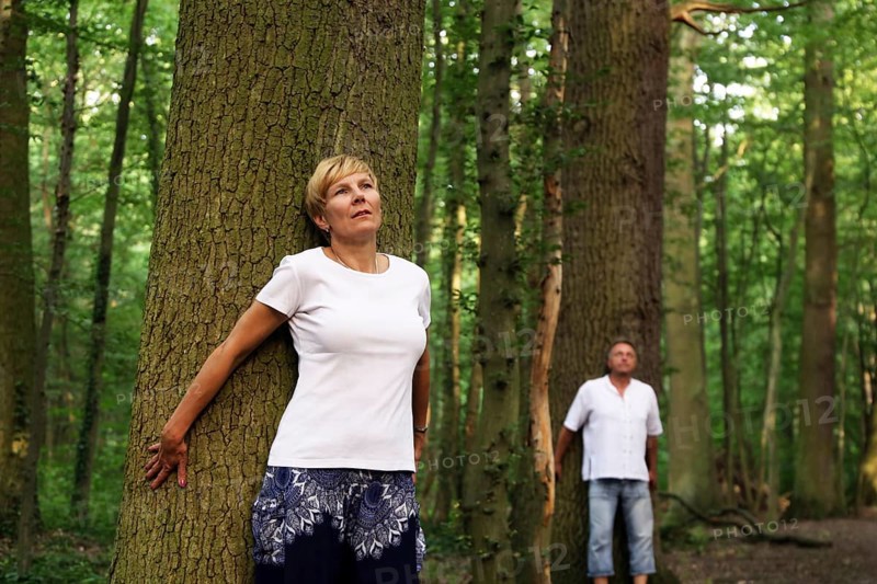 Group forest bathing (Shinrin Yoku), nature therapy from Japan