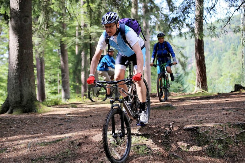Mountain bikers on a mountain bike course in the Palatinate Forest