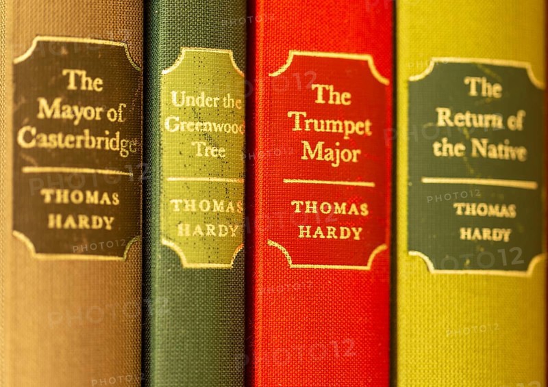 Close up of Folio Society hardback books by Thomas Hardy focus on gilt spine title 'The Trumpet Major