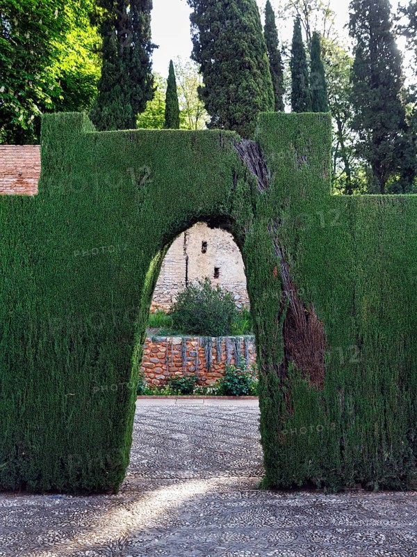 Hedge with passageway, archway in garden, thuja, topiary, Generalife Gardens, Alhambra, Granada, Spain, Europe