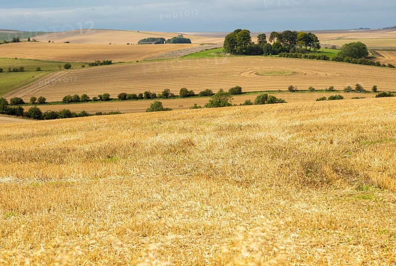 Chalk downland landscape fields of stubble looking west over East Kennett long barrow, Wiltshire, England, UK