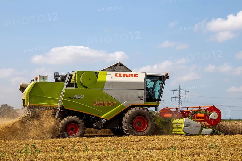 Grain harvest near Hockenheim, Baden-Wuerttemberg