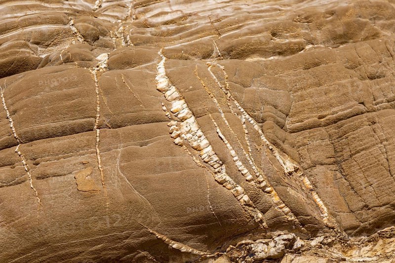 Folded sedimentary rock strata dipping downwards in cliff at Praia dos Alteirinhos, Zambujeira do Mar, Parque Natural do Sudoeste Alentejano e Costa Vicentina, Costa Vicentina and south west Alentejo natural park, Zambujeira do Mar, Alentejo Littoral, Portugal, southern Europe, Europe