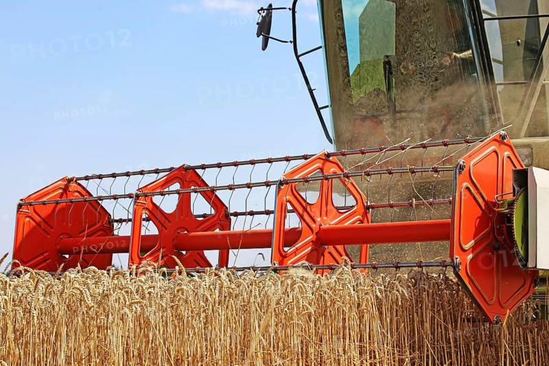 Agriculture grain harvest (Rhineland-Palatinate, July 2020)