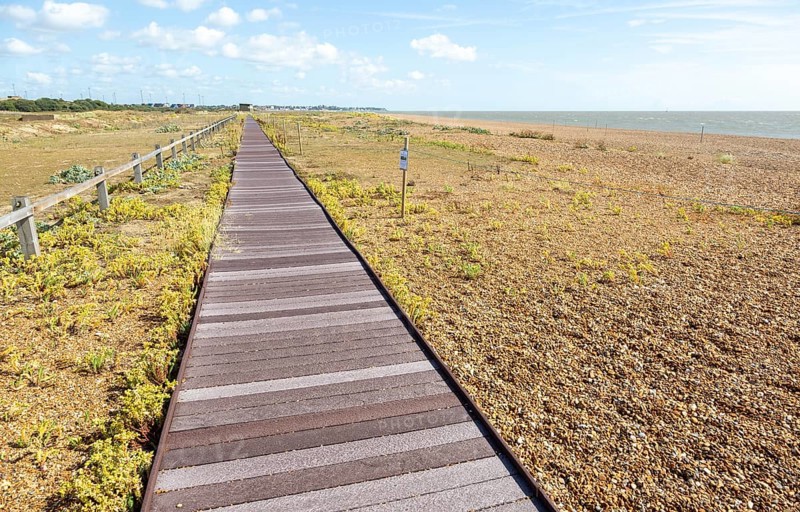 Boardwalk crossing shingle beach habitat at Landguard Point, Felixstowe, Suffolk, England, UK