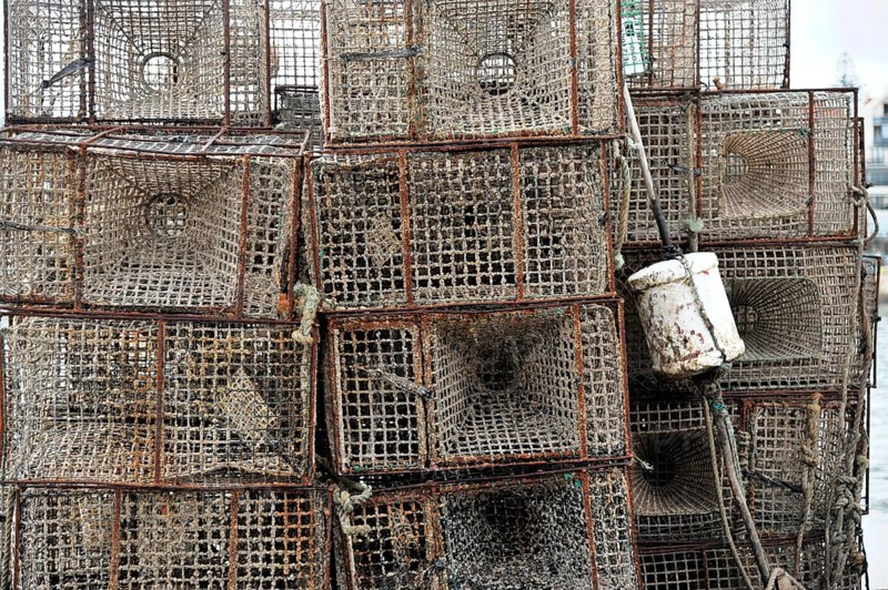 Lobster baskets, harbour, Cascais, Lisbon, Portugal, Europe