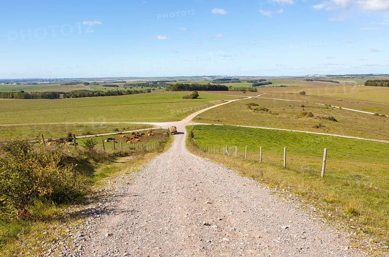 Unsurfaced track roads chalk upland landscape looking north-west, from Sidbury Hill, Salisbury Plain, Wiltshire, England, UK