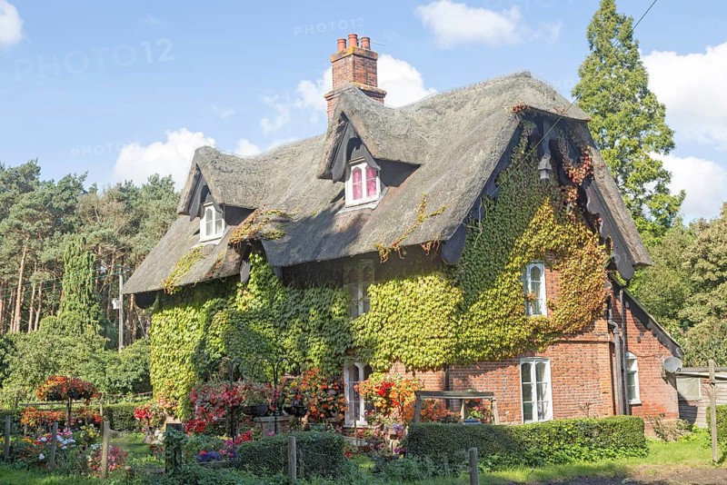 Large detached thatched house and garden, Sudbourne, Suffolk, England, United Kingdom, Europe