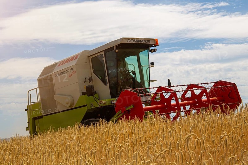 Grain harvest in the district of Bad Duerkheim (Rhineland-Palatinate)