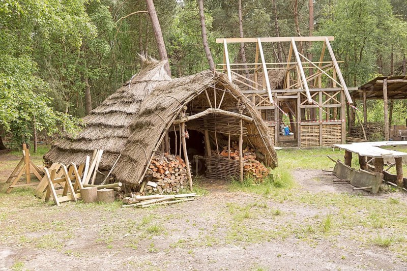 Hands on Heritage, site of reconstructed archaeological historic buildings, Tunstall forest, Suffolk, England, UK, Iron Age hut house