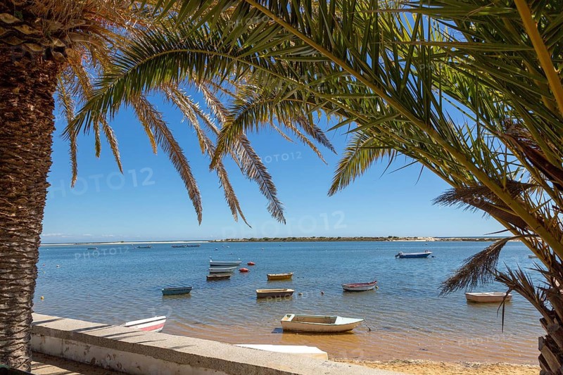 Boats in lagoon behind offshore sandbar, framed by palm trees, Vila Nova de Cacela, Algarve, Portugal, Southern Europe, Ria Formosa Natural Park, Europe