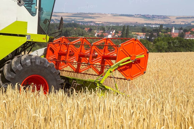 Grain harvest in the district of Bad Duerkheim (Rhineland-Palatinate)