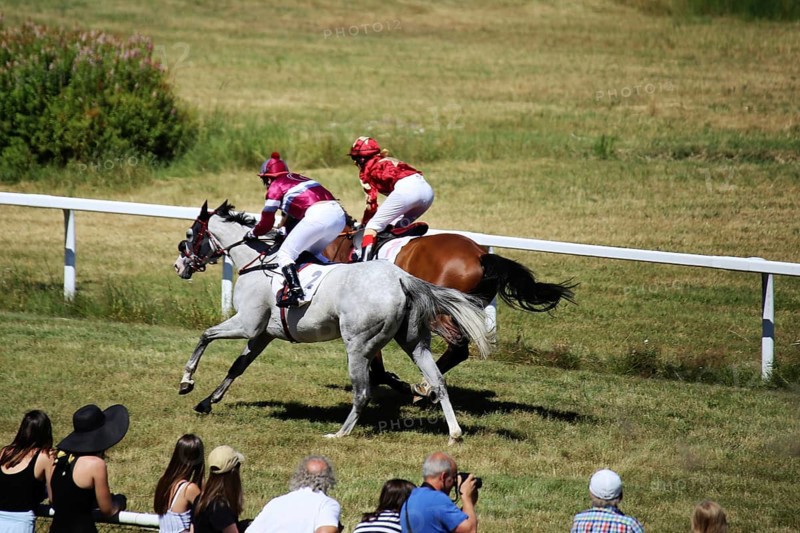 Horse racing at the Hassloch racecourse, Palatinate