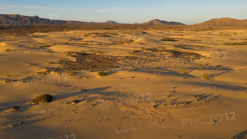Sand dunes near Corralejo, shifting sand dunes, Fuerteventura, Canary Islands, Spain, Europe
