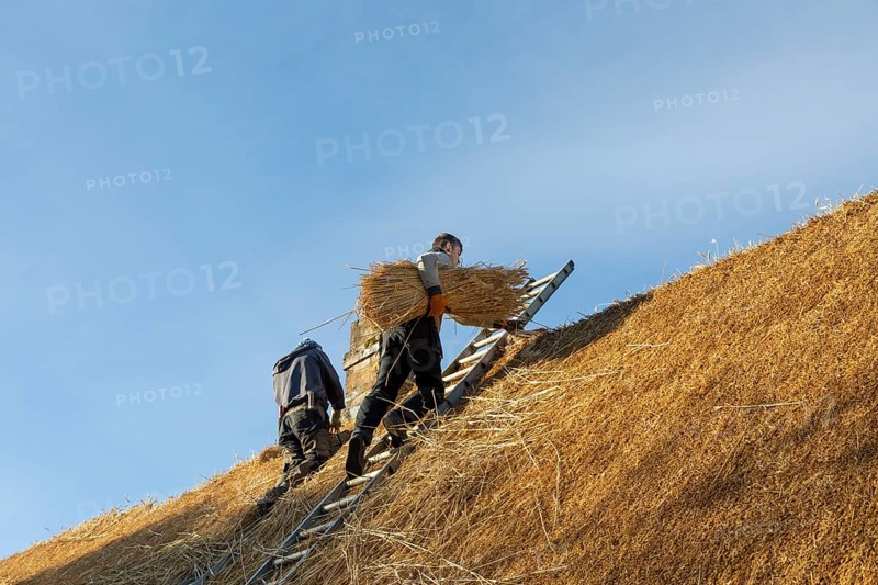 Thatchers working on roof of thatched country cottage, Great Bedwyn village, Wiltshire, England, UK