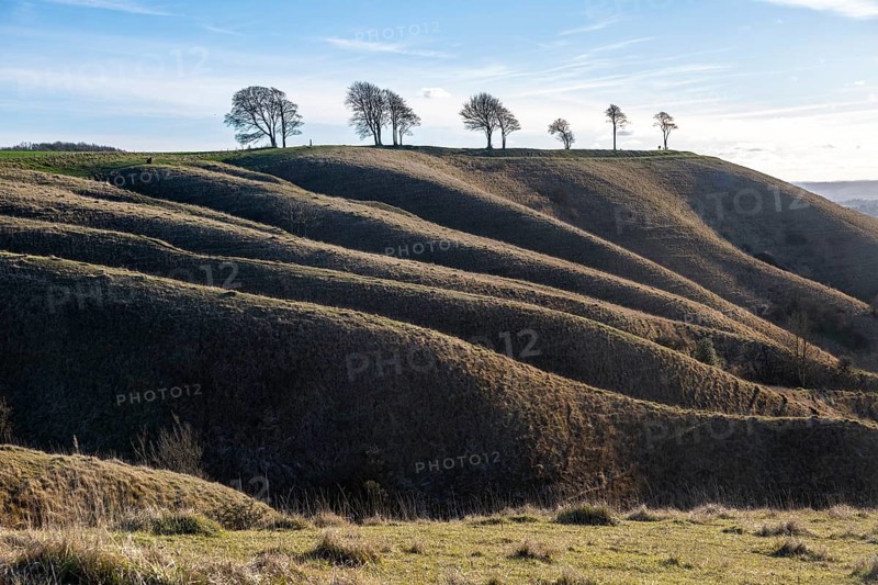 Ridges and dry valleys chalk scarp slope view to Oliver's Castle hill fort, Roundway Down, Wiltshire, England, UK