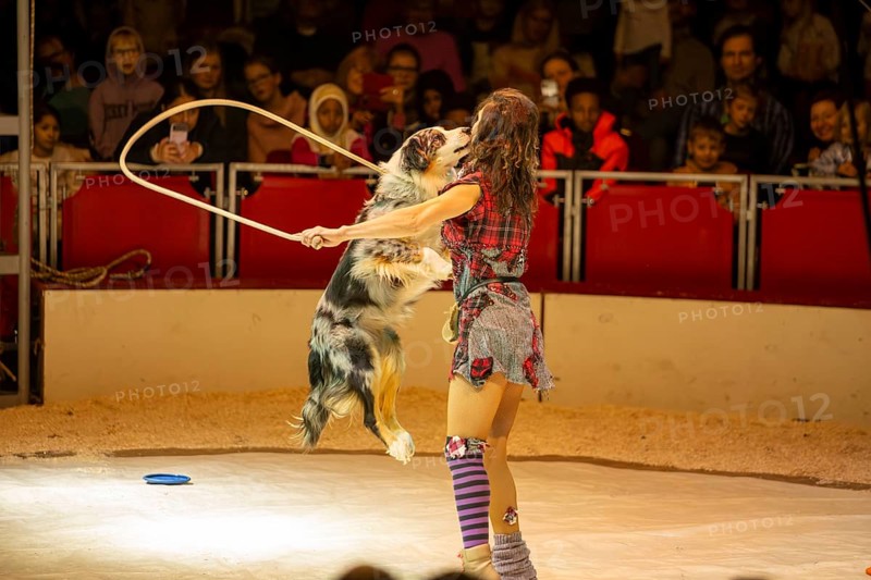 Ludwigshafen 24.12.2023: Performance of the Ludwigshafen Christmas Circus on Christmas Eve